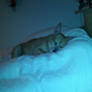 Meet your Posher, Billie